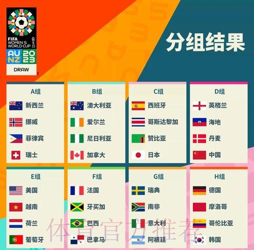 全面剖析世界杯各队综合实力与赛场表现